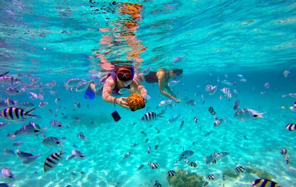 Cham Island Snorkeling Day Tour 1